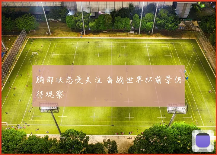 胸部状态受关注 备战世界杯前景仍待观察