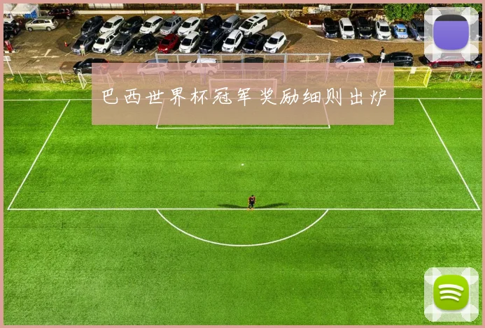 巴西世界杯冠军奖励细则出炉