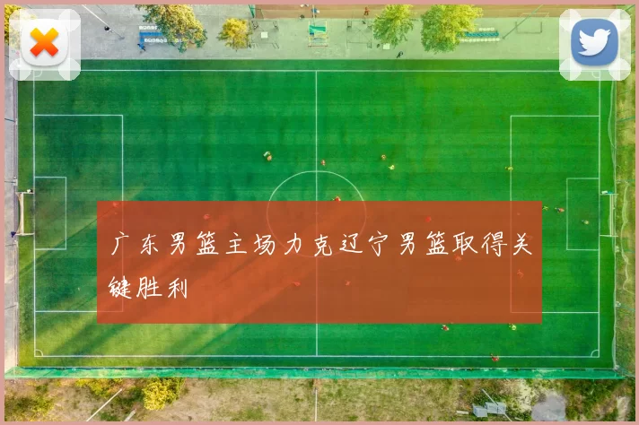 广东男篮主场力克辽宁男篮取得关键胜利