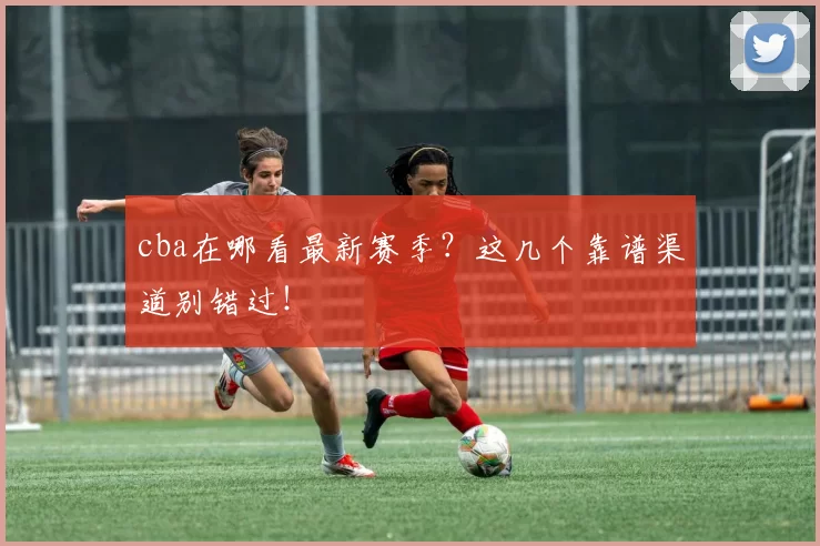 cba在哪看最新赛季？这几个靠谱渠道别错过！