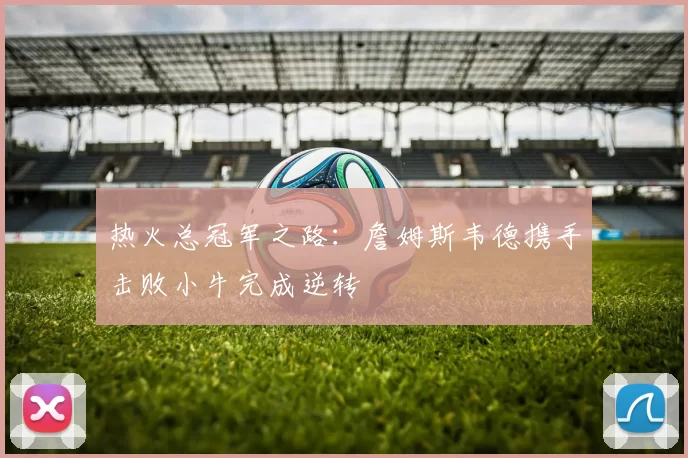 热火总冠军之路：詹姆斯韦德携手击败小牛完成逆转