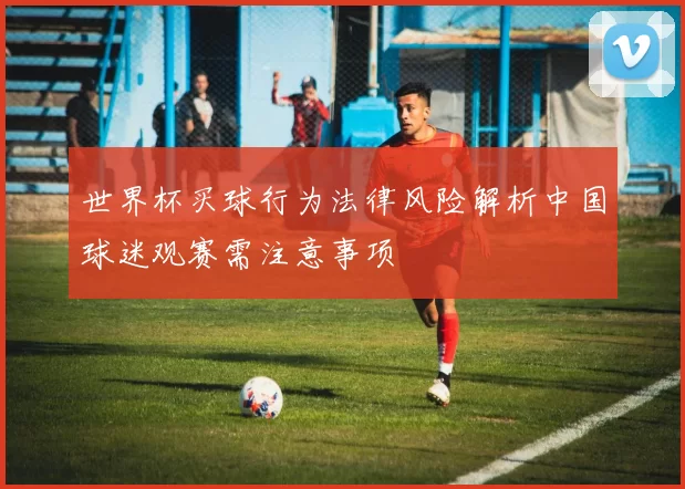 世界杯买球行为法律风险解析中国球迷观赛需注意事项