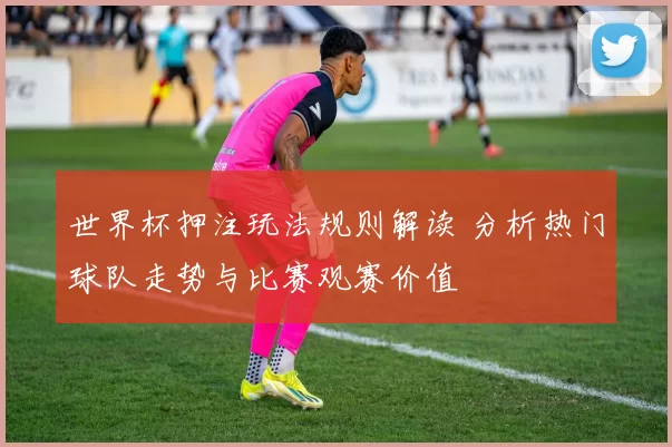 世界杯押注玩法规则解读 分析热门球队走势与比赛观赛价值